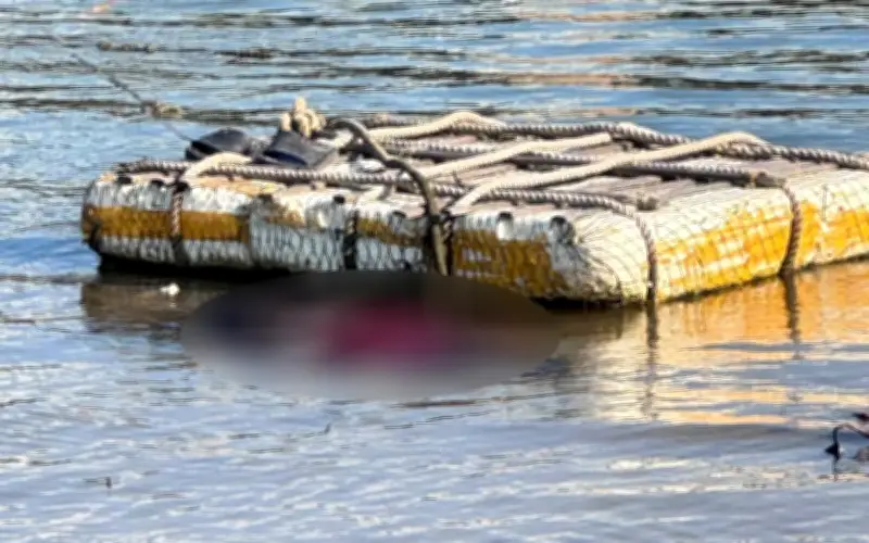 Phát Hiện Thi Thể Nổi Trên Biển Nhật Lệ, Cơ Quan Chức Năng Khẩn Trương Điều Tra