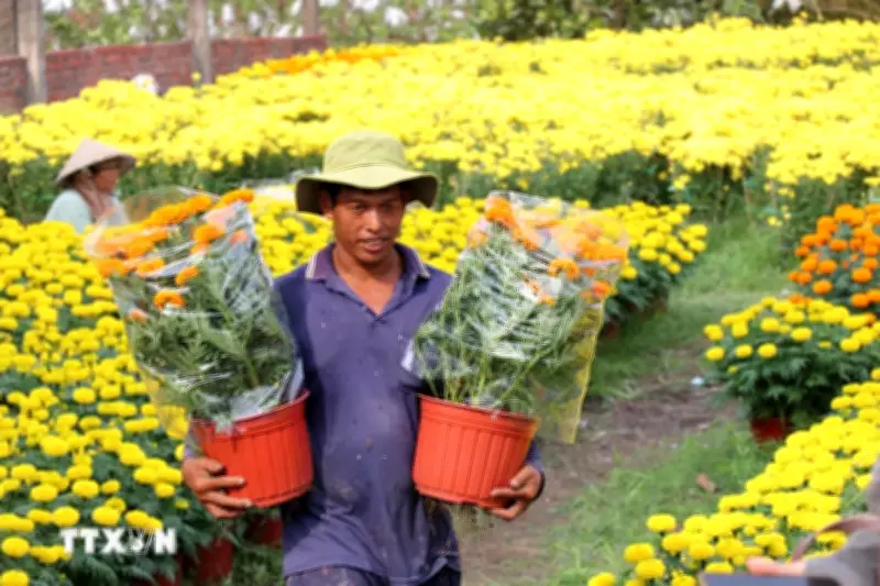 Thủ tướng chỉ đạo chăm lo, hỗ trợ nhân dân đón Tết vui tươi, an toàn, tiết kiệm