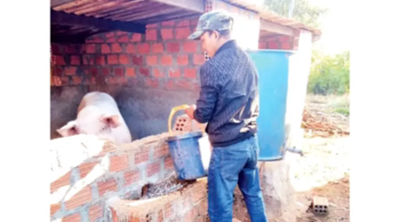 Quỹ Hỗ Trợ Nông Dân Gia Lai: Đòn Bẩy Giúp Nông Dân Làm Giàu Từ Mô Hình Hiệu Quả