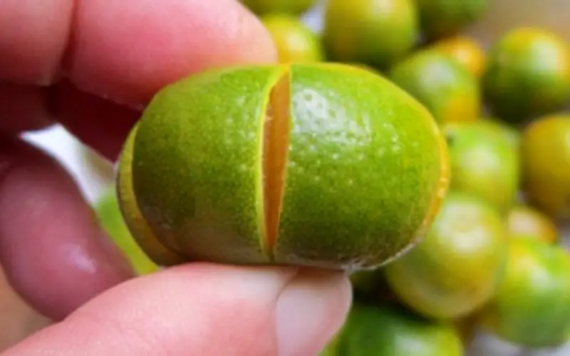 Quả Quất: 'Thần Dược' Giàu Vitamin C Và Những Công Dụng Tuyệt Vời Cho Sức Khỏe