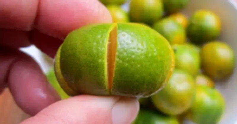 Quả Quất: 'Thần Dược' Tết Với 6 Lợi Ích Sức Khỏe Vàng Và Cách Làm Mứt Dẻo Thơm