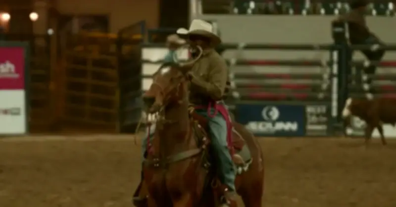 Quan niệm về loài ngựa trong văn hóa thế giới: Biểu tượng đa dạng từ Đông sang Tây