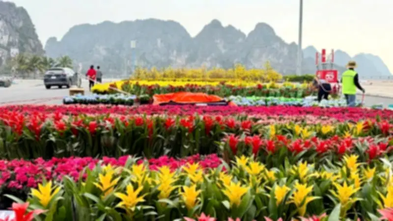 Quảng Ninh Khai Mạc Đại Lộ Hoa Và Công Nghệ Ánh Sáng Đầu Tiên Bên Vịnh Hạ Long