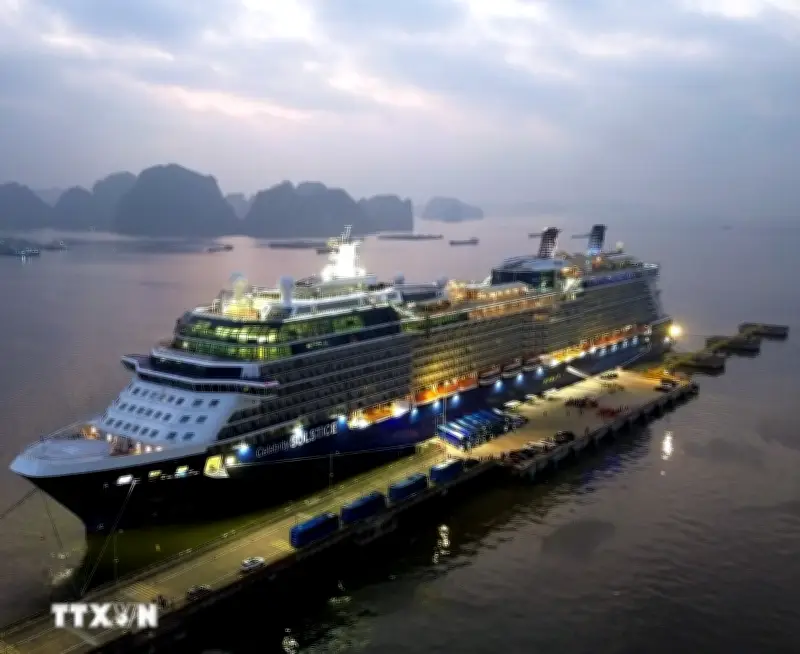 Quảng Ninh đón hàng nghìn khách du lịch tàu biển quốc tế dịp Tết Bính Ngọ