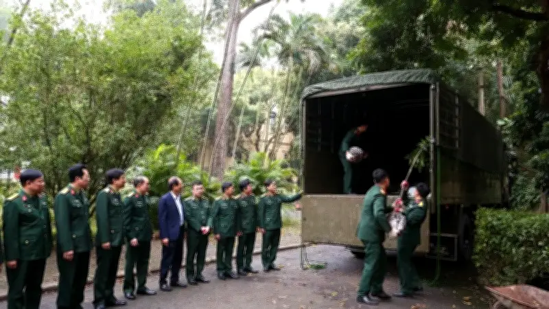 Quân đội vận chuyển cây từ gia đình Đại tướng Võ Nguyên Giáp về khu mộ