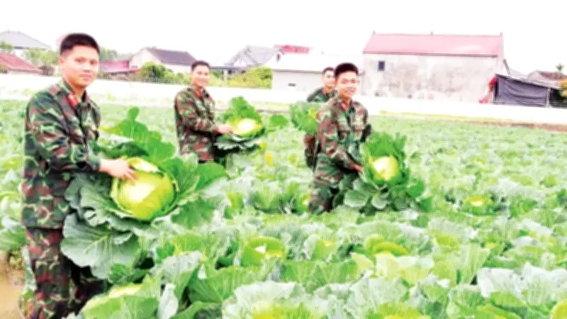 Quân đoàn 12 chuẩn bị hậu cần chu đáo đón Tết Nguyên đán và chiến sĩ mới 2026