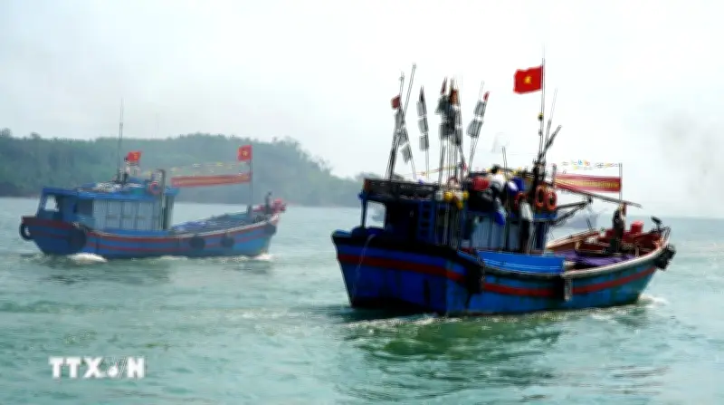 Quảng Ngãi đặt mục tiêu khai thác hơn 260.000 tấn hải sản vào năm 2026