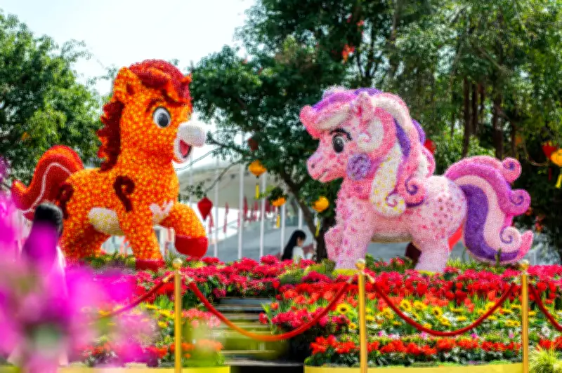 Quảng Ninh khai mạc Đại lộ hoa và ánh sáng chào xuân Bính Ngọ 2026