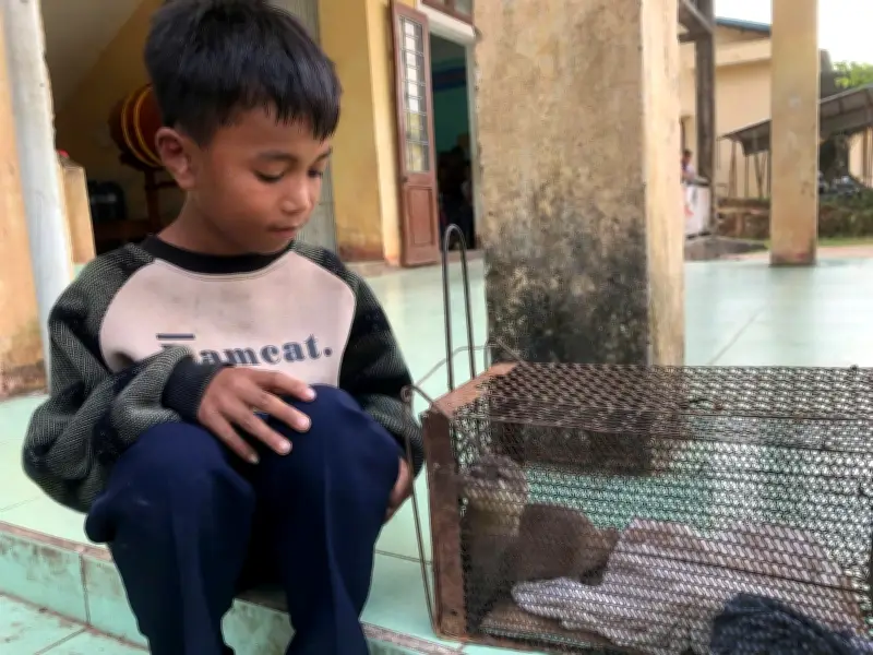 Quảng Trị: Trạm Kiểm lâm Đakrông tiếp nhận cá thể rái cá quý hiếm