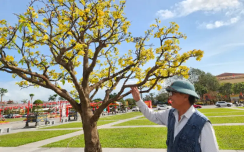 Quảng Trị: Trưng bày hàng trăm cây cảnh độc đáo đón Tết Bính Ngọ tại Quảng trường Hồ Chí Minh