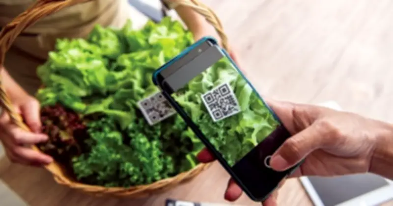 Quy Định Mới Về Truy Xuất Nguồn Gốc Thực Phẩm Không An Toàn Từ 16/4/2026