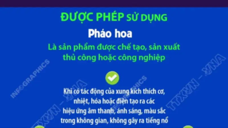 Quy Định Mới Về Việc Sử Dụng Pháo Trong Dịp Tết Nguyên Đán 2025
