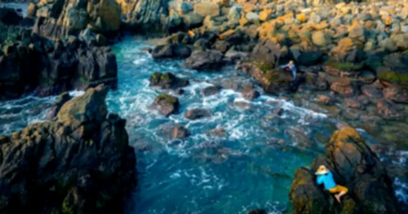 Quy Nhơn Lọt Top 4 Điểm Đến Xu Hướng Thế Giới 2026, Tây Nguyên Tỏa Sáng