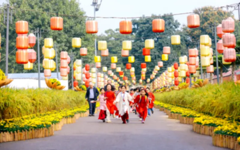 Rực rỡ đường hoa Tết Hoàng thành Thăng Long, sắp hết thời gian miễn phí vé vào cửa