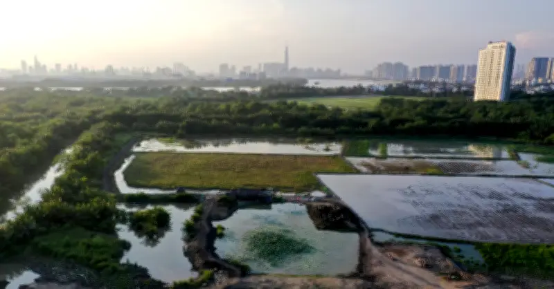 Hụt tiền mua đất, cư dân đứng ngồi không yên khi đất bị thu hồi