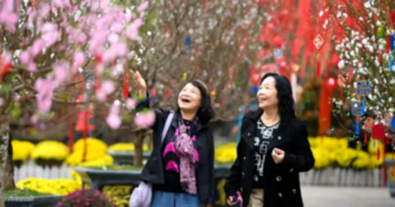 Rừng Đào Cổ Rực Rỡ Tại Vườn Hoa Xuân Lý Thái Tổ Thu Hút Hàng Nghìn Người