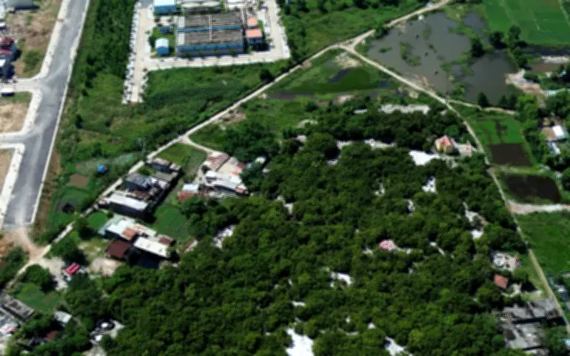 Rừng Trung Sơn: Ốc đảo xanh giữa lòng đô thị Đà Nẵng được gìn giữ suốt 4 thế kỷ