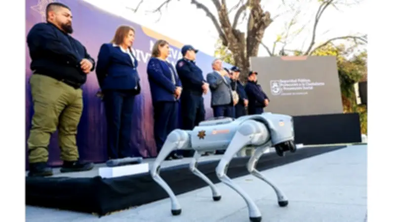 Robot thăm dò nguy hiểm, AI chẩn bệnh cây nho và trái phiếu 100 năm của Google