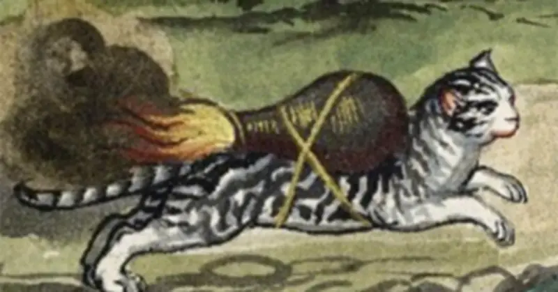 Mèo 'Tên Lửa' và Chiến Thuật Độc Đáo: Loài Vật Trong Lịch Sử Chiến Tranh