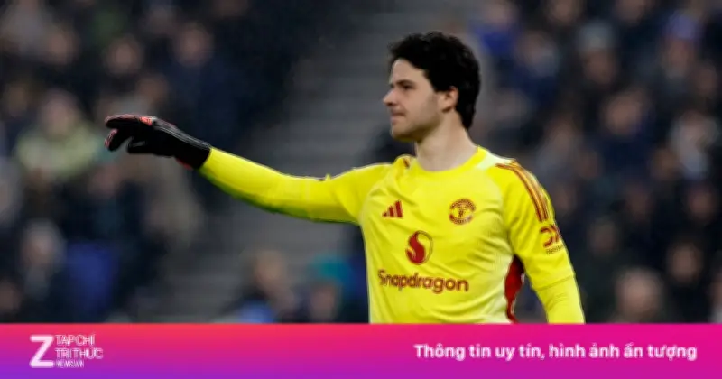 Sự Bình Tĩnh Của Lammens Làm Thay Đổi Manchester United Từ Khung Gỗ