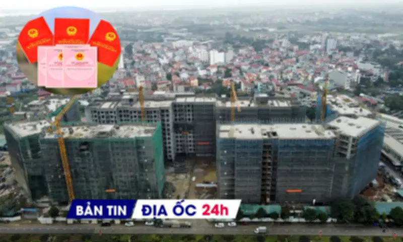 Sổ Đỏ Điện Tử Chính Thức Thay Thế Bản Giấy, Công Nhân Bám Trường Nhà Ở Xã Hội