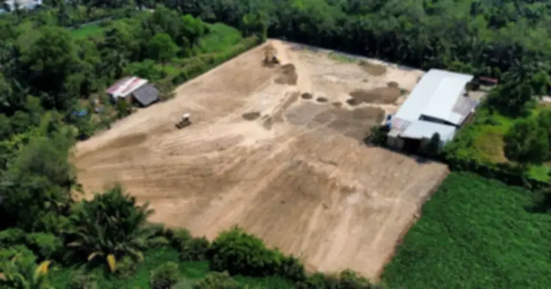 San lấp trái phép 1.800 m² đất cây lâu năm tại TP.HCM: Chủ đất ở nước ngoài, xử lý bế tắc?