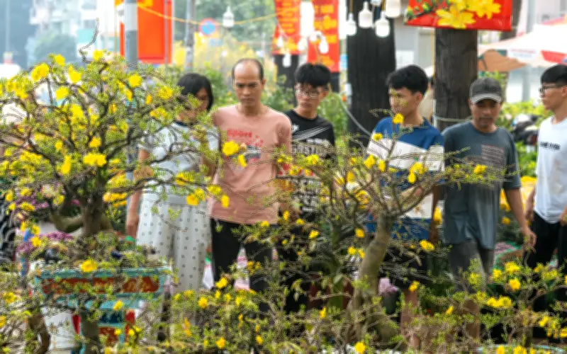 Sắc Xuân Rộn Ràng: Chợ Hoa Tết TP.HCM Nhộn Nhịp Người Mua Sắm