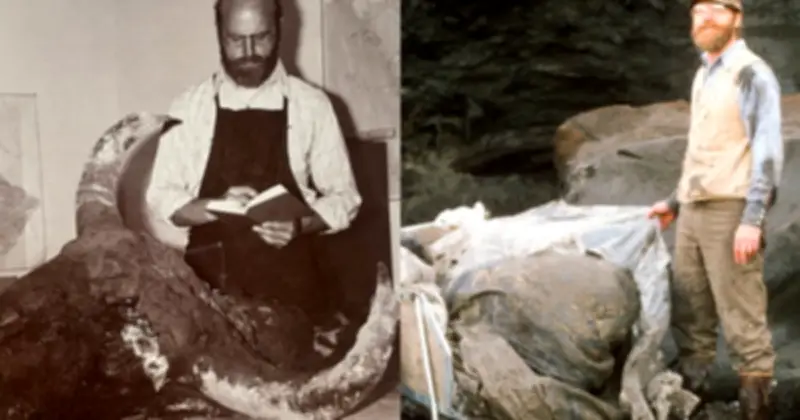 Nhà khoa học nấu thịt bò rừng 50.000 năm tuổi: 'Ngon nhưng dai khủng khiếp'