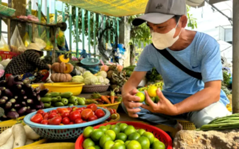 Giá chanh không hạt An Giang tăng gấp 3 lần, nông dân lãi dù sản lượng giảm mạnh
