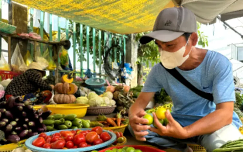 Giá Chanh Không Hạt Tăng Gấp 3 Lần Tại An Giang Do Nguồn Cung Hạn Chế