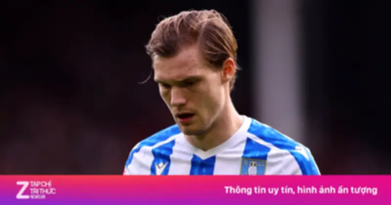 Sheffield Wednesday Lập Kỷ Lục Buồn: Đội Đầu Tiên Rớt Hạng Từ Tháng 2 Ở Championship