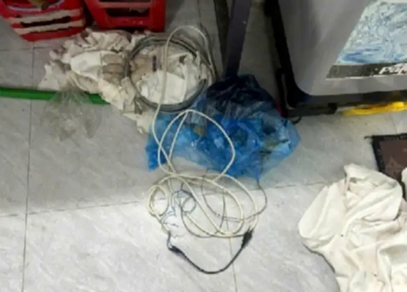 Sợi Dây Điện Lột Vỏ Tố Cáo Tội Ác Của Người Chồng Ở Đồng Nai