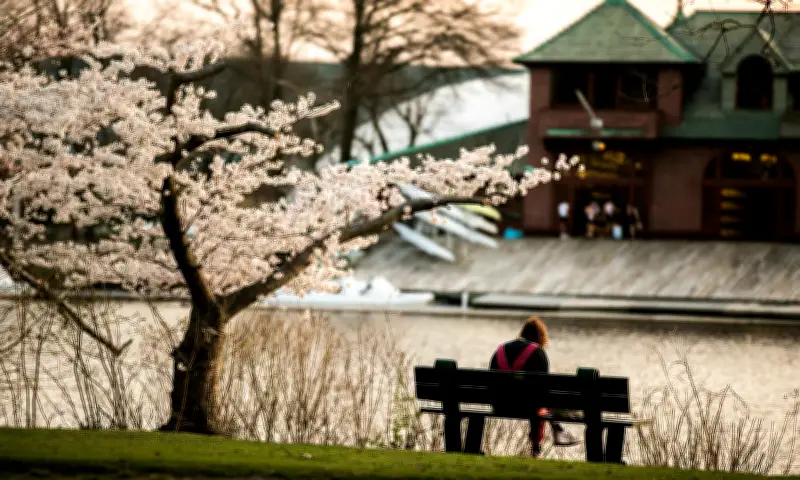 Sinh viên Harvard hụt hẫng vì 'vùng xám' trong quy định trợ cấp tài chính