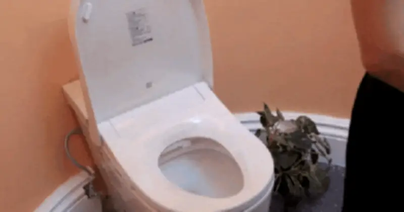 Trải Nghiệm Thực Tế Sau 1 Năm Dùng Bồn Cầu Thông Minh: Đáng Tiền Hay Hối Hận?