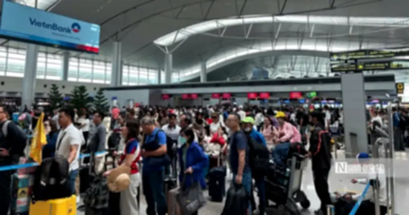 Sân Bay Tân Sơn Nhất Đón Lượng Khách 'Khủng' Trong Ngày Cận Tết Bính Ngọ 2026