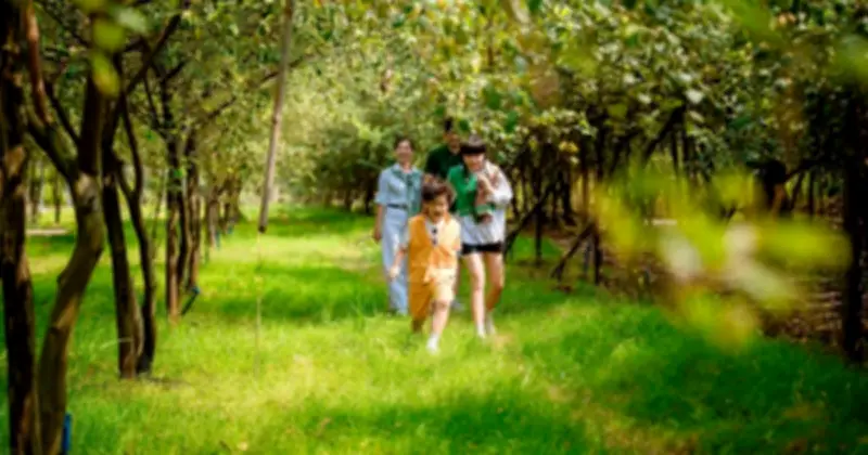 Sơn Tiên Mở Khu Du Lịch Đông Nam Bộ 50ha, Tái Hiện Miệt Vườn Nam Bộ Dịp Tết 2026