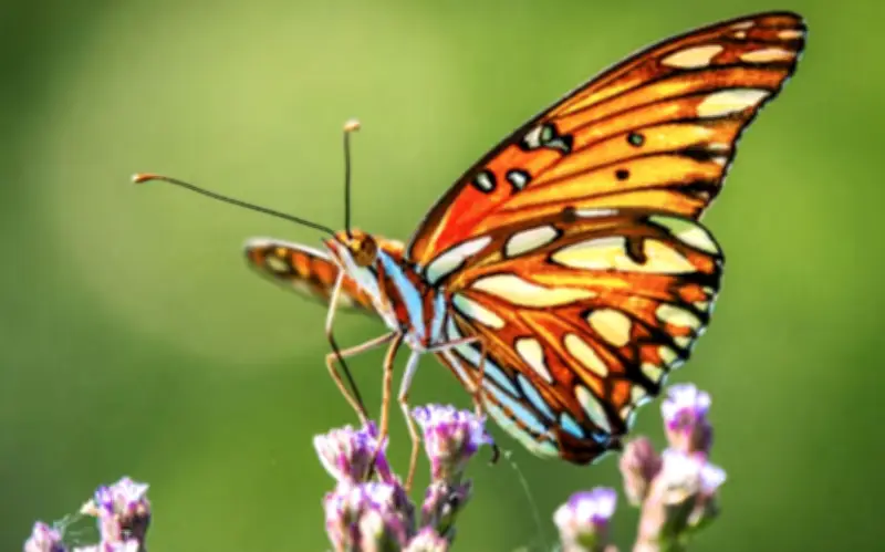 Sống tốt chưa chắc bằng sinh đúng 4 ngày âm lịch đại cát, phúc lộc kéo dài nhiều thế hệ