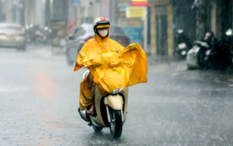 Nam Bộ và TP.HCM đón mưa trái mùa hai ngày tới, cảnh báo thiệt hại cây trồng