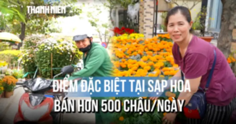 Sạp hoa Tết TP.HCM bán hơn 500 chậu mỗi ngày nhờ giá 'yêu thương'