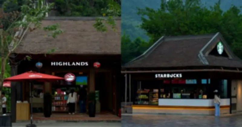 Starbucks và Highlands 'so găng' tại Tràng An: Cuộc đối thoại thẩm mỹ giữa hiện đại và di sản