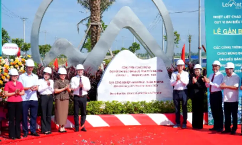 STH Holdings Ghi Nhận Lợi Nhuận Kỷ Lục Nhờ Tái Cấu Trúc Đa Ngành