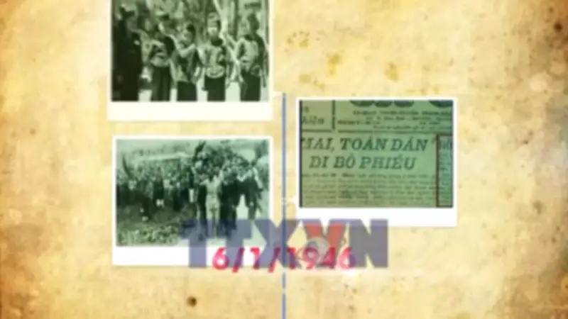 Sưu Tầm Thẻ Cử Tri: Ký Ức Sống Động Về Lịch Sử Bầu Cử Việt Nam