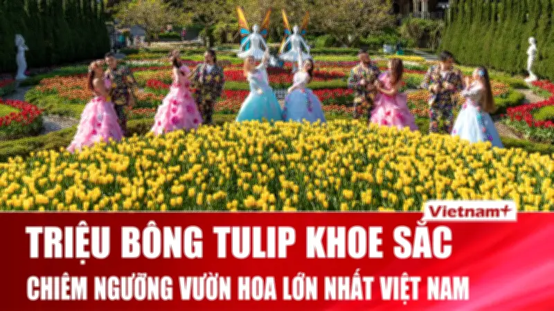 Sun World Bà Nà Hills lập kỷ lục với 1,5 triệu bông tulip trong lễ hội mùa xuân 2026