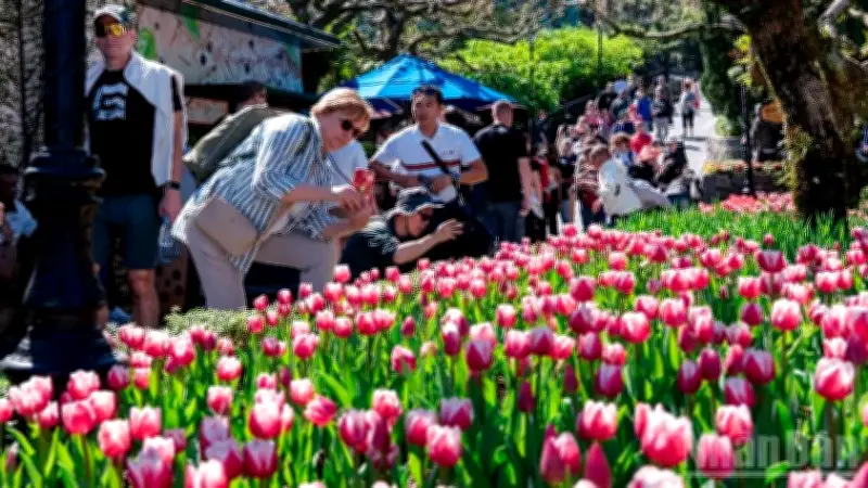 Sun World Ba Na Hills Mở Rộng Không Gian Xuân Với Bốn 'Thế Giới Trên Mây' Và Vé Cáp Treo Đột Phá