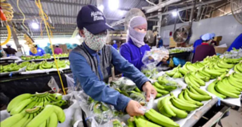 Tạm dừng Nghị định 46, doanh nghiệp vẫn lo ngại về thủ tục an toàn thực phẩm