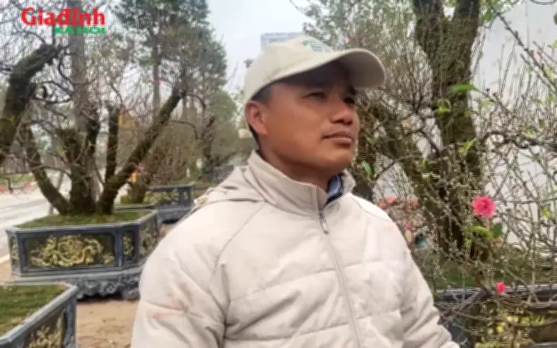 Từ Chiếc Xe Đạp Cọc Cạch Đến Chủ Vườn Hơn Nghìn Gốc Đào Giữa Lòng Thủ Đô