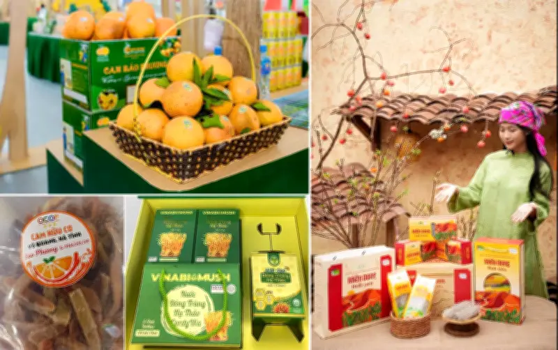 Từ Đồi Cam Sương Gió Đến Giỏ Quà Xuân: Câu Chuyện Khởi Nghiệp Nông Nghiệp Công Nghệ Cao