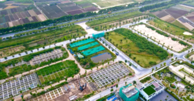 Đất nền có trở lại ngôi vương đầu tư trong năm 2026?