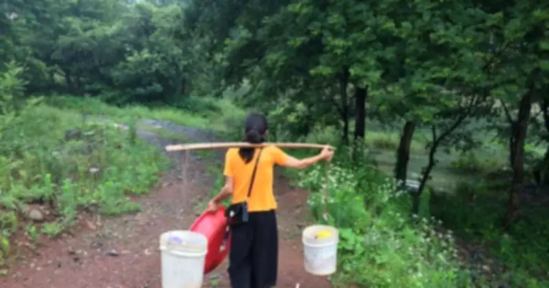 Từ Tấm Bằng Danh Giáo Đến Hộ Nghèo: Câu Chuyện Cảnh Tỉnh Về Áp Lực Thi Cử Và Sức Mạnh Tâm Lý