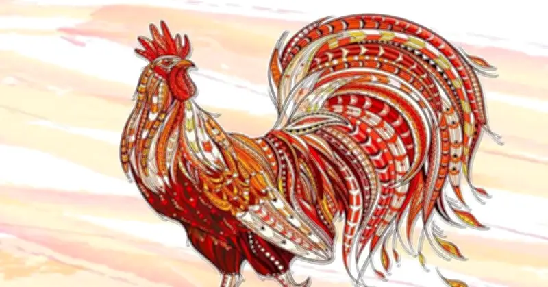 Tử Vi Năm 2026 Cho Tuổi Dậu: Sức Khỏe, Tài Lộc Và Những Lưu Ý Quan Trọng